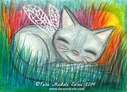 Feline Fairy by Tara N Colna